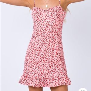 NWOT Princess Polly Blush Pink and Red Flower Dress